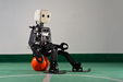 NimbRo-OP robot