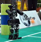 RoboCup 2009: Rudi Throw-in