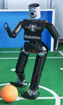 Robotinho Kicking